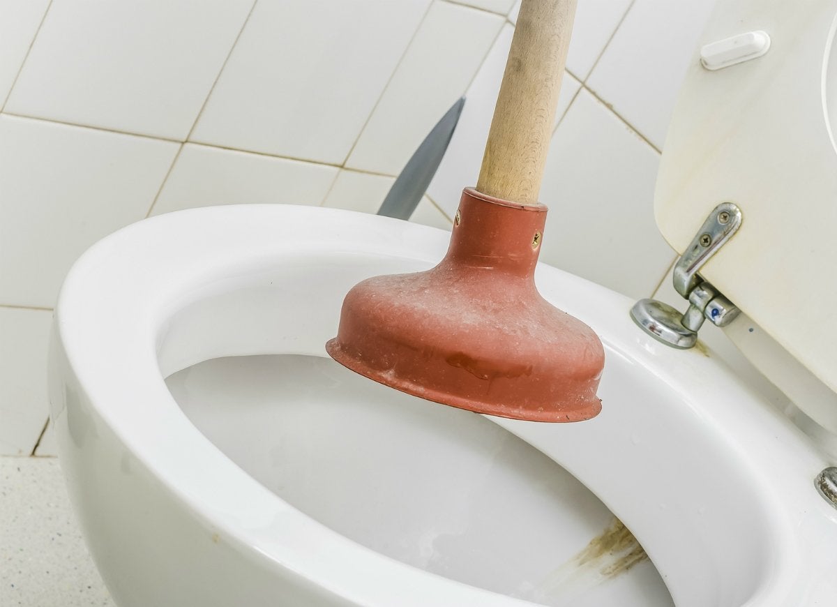 What To Do When Your Toilet And Bathtub Are Clogged?