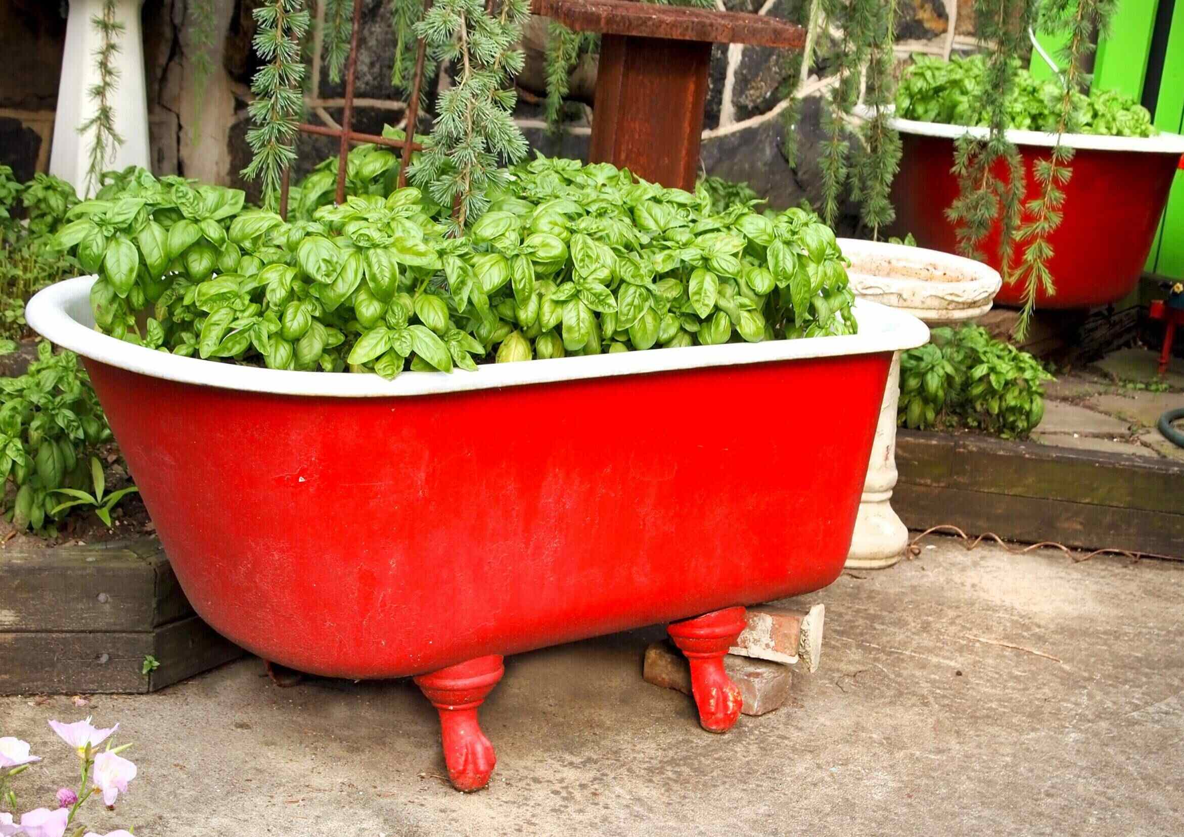What To Do With An Old Bathtub