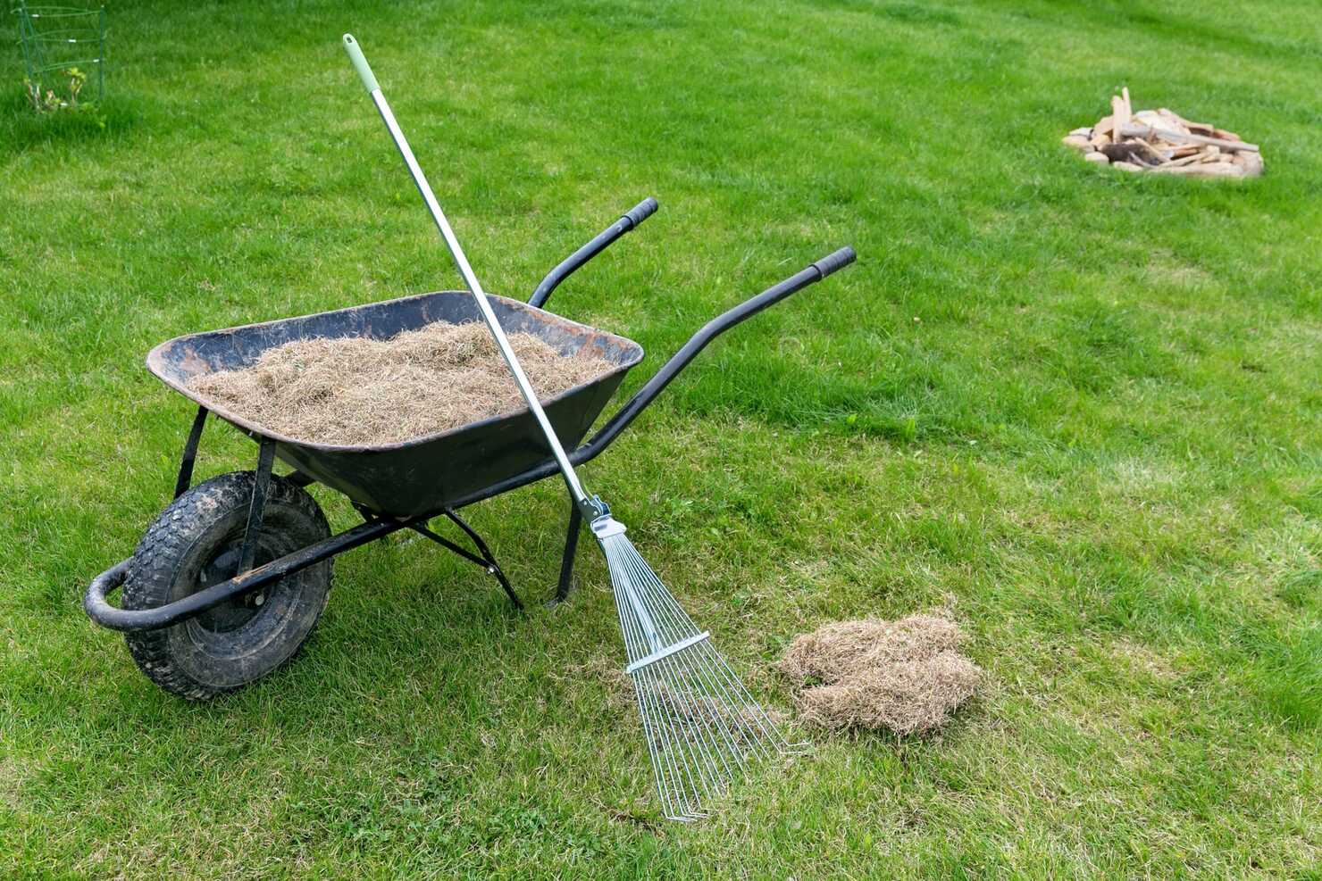 What To Do With Dethatched Grass