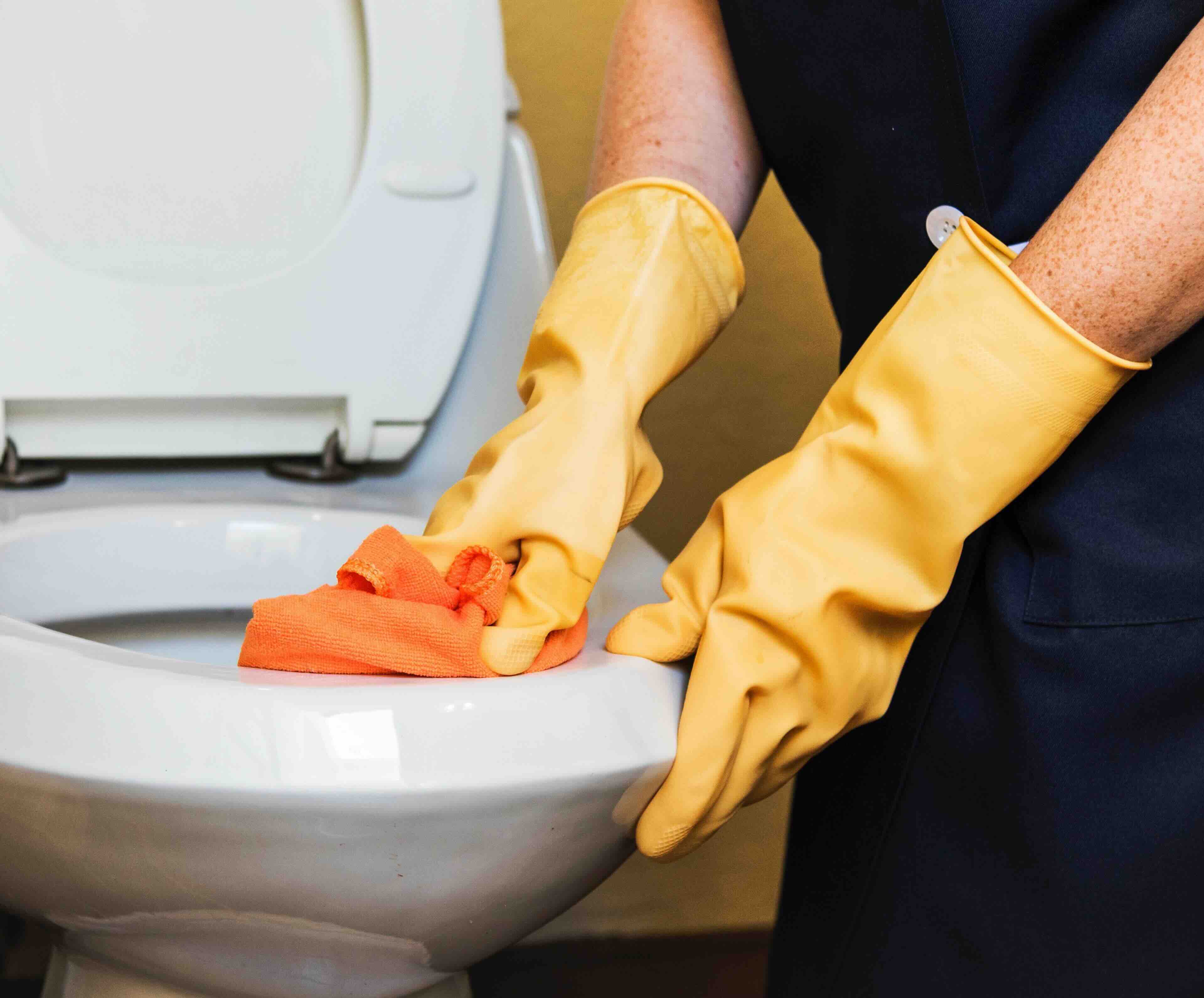 What Toilet Bowl Cleaner Is Safe For Septic Systems