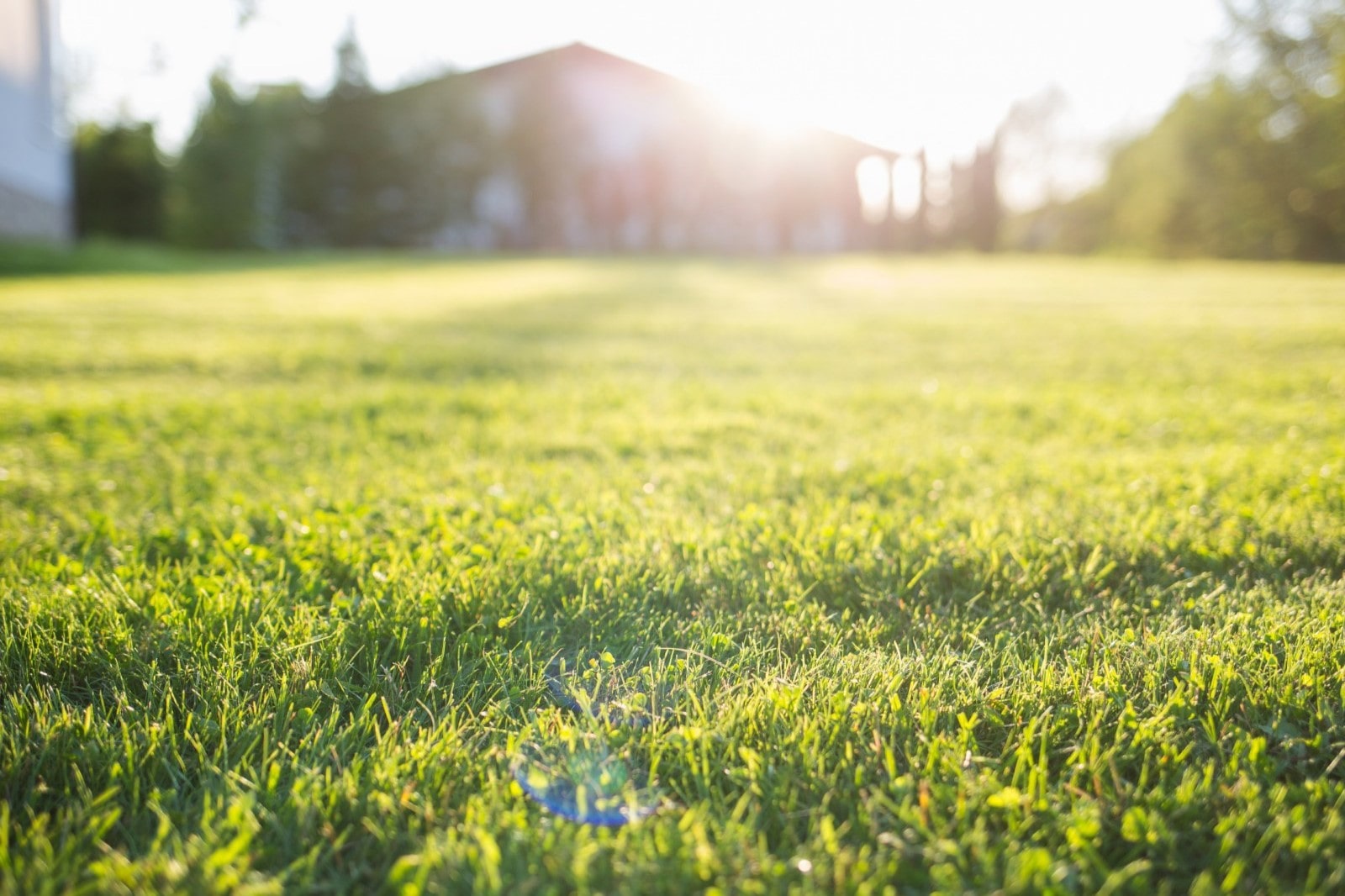 When To Plant Grass Seed In Kansas City