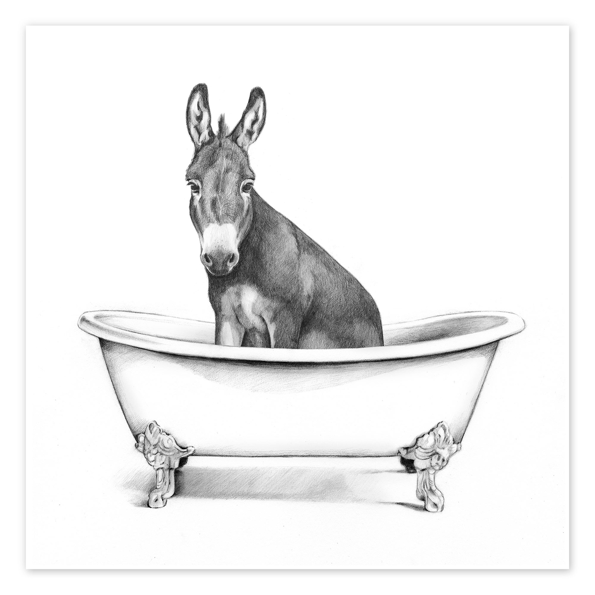 Where Is It Illegal To Have A Donkey In Your Bathtub