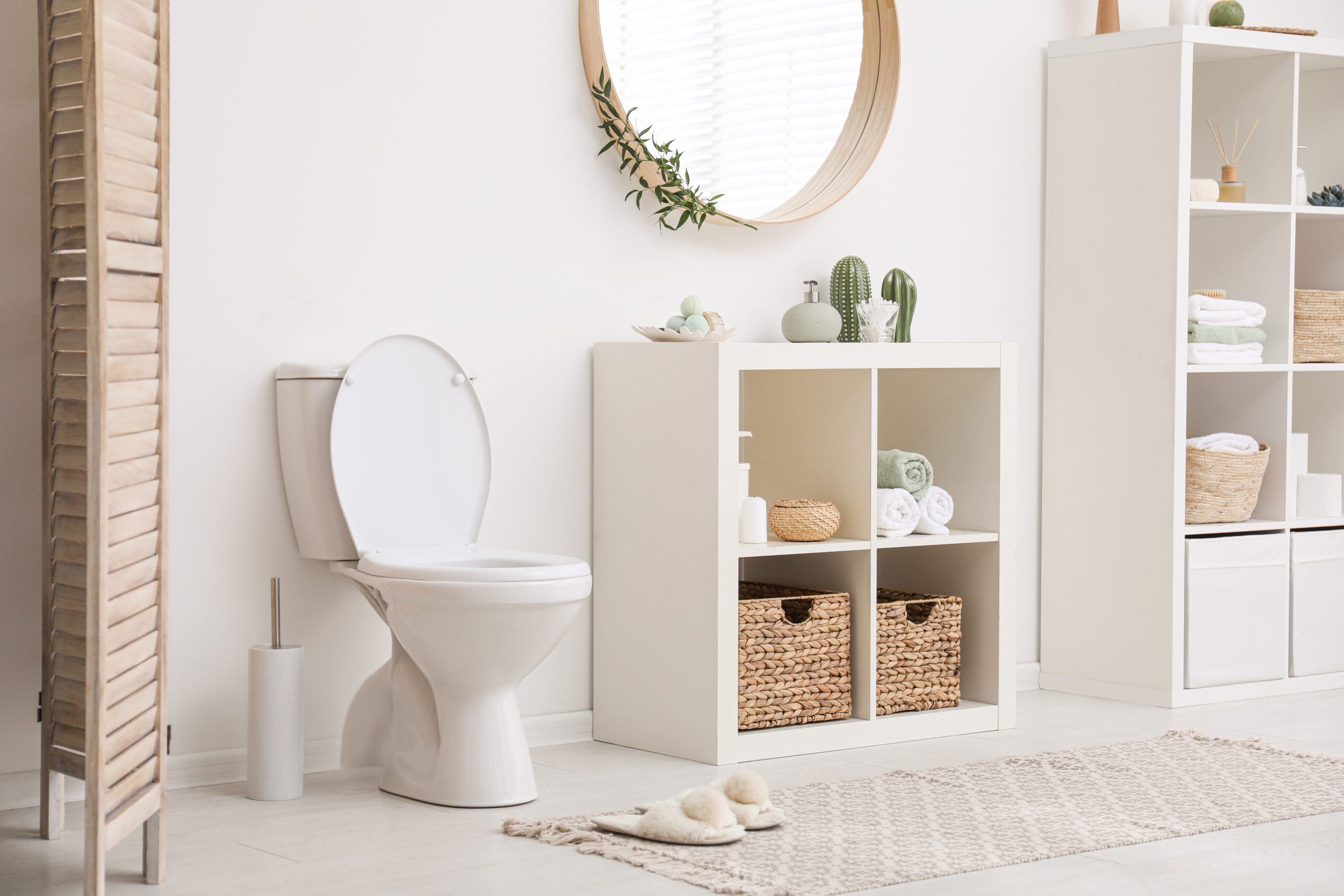 Which Is Better: Wood Or Plastic Toilet Seat