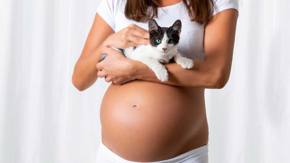 Why Can’t You Clean The Litter Box When Pregnant?