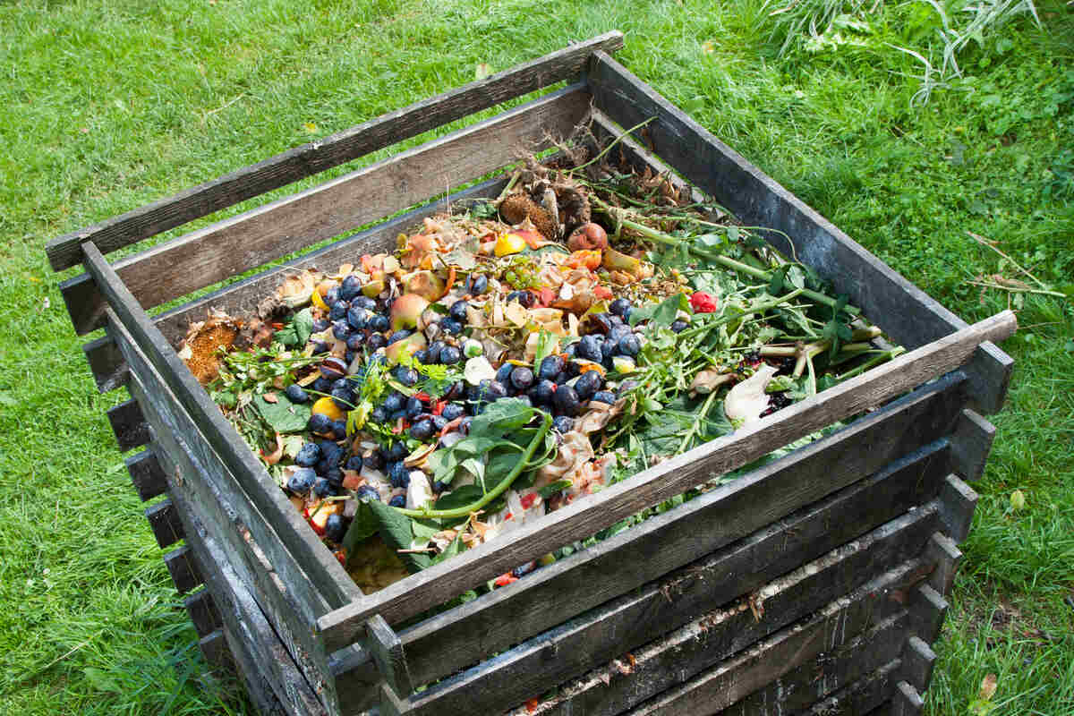 Backyard Compost Bin Construction to Recycle Kitchen Waste