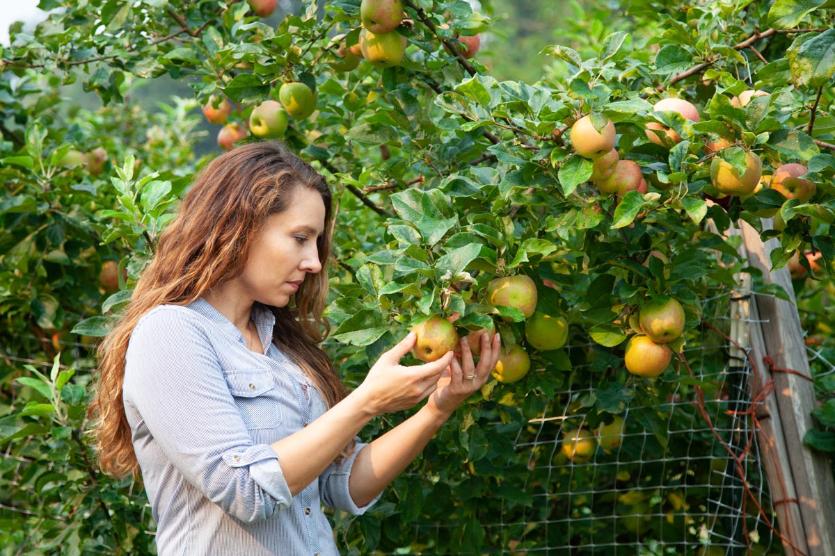 Backyard Fruit Tree Planting to Grow Your Own Orchard