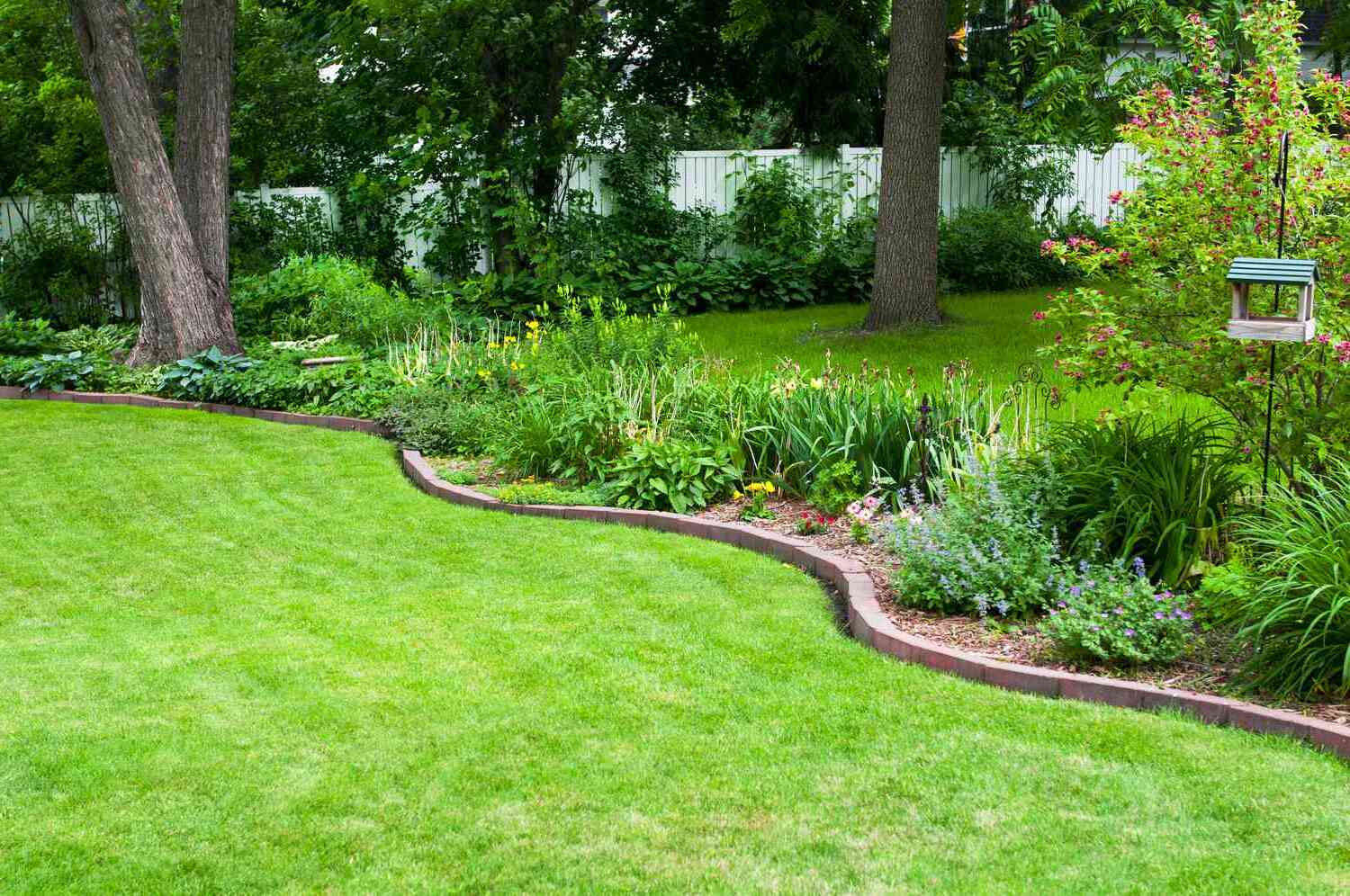 Backyard Garden Bed Edging Ideas: Define Your Planting Areas