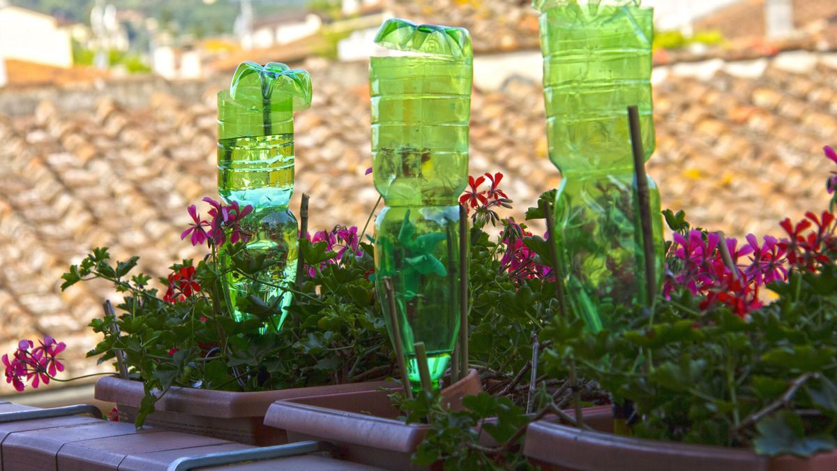 Backyard Garden Irrigation System: DIY to Water Your Plants Easily