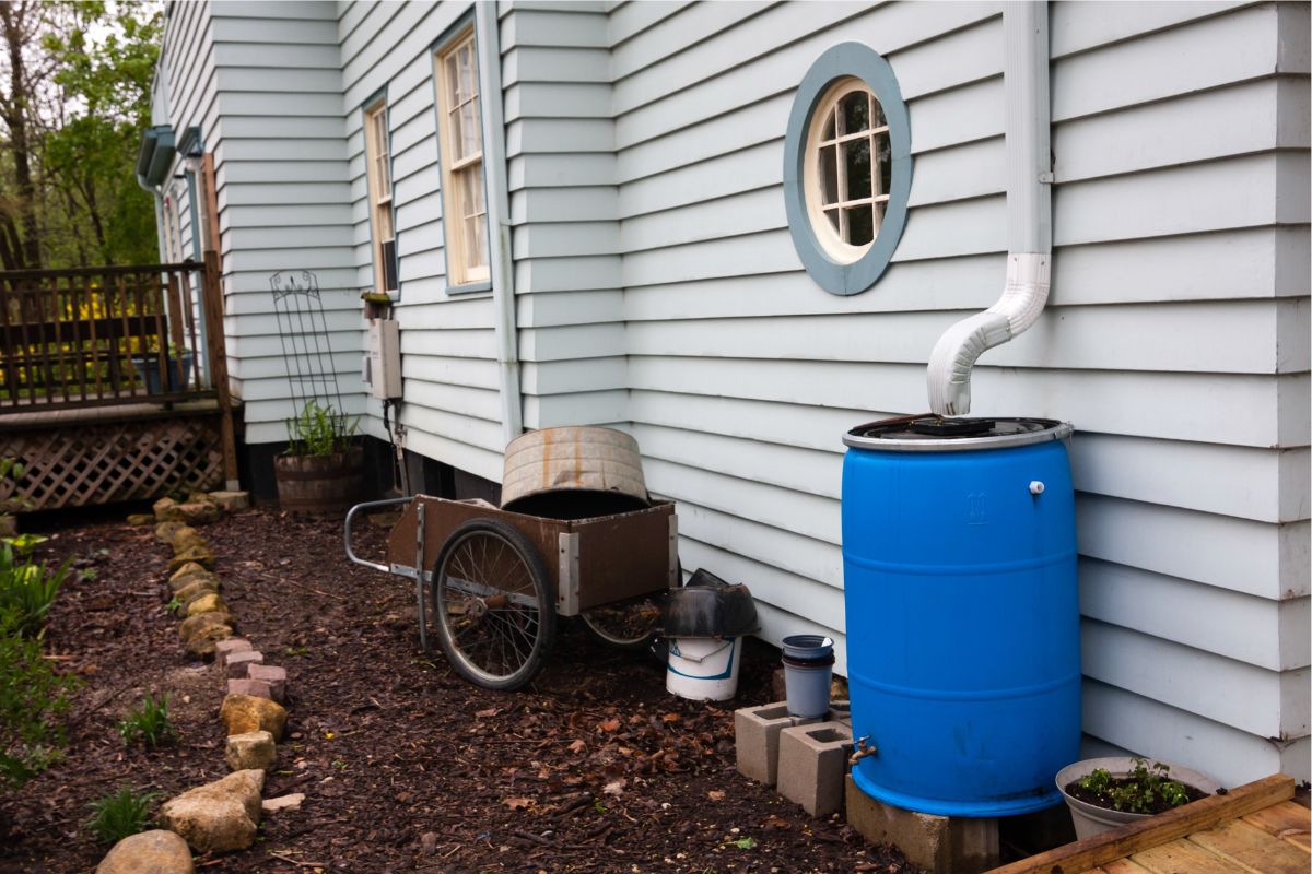 Backyard Rain Barrel Installation and Collect Water for Gardens