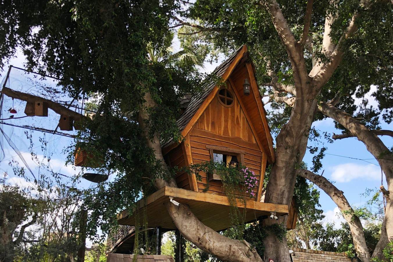 Backyard Treehouse Construction for Elevated Play Space Design