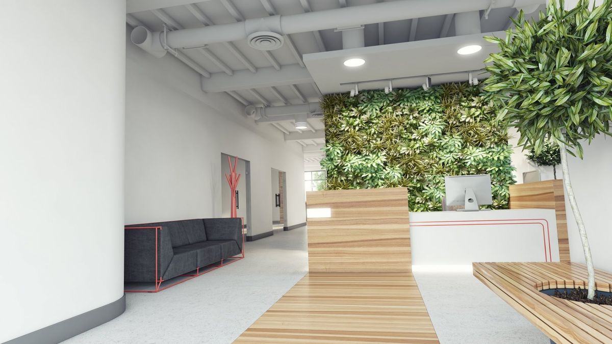 Biophilic Office Design: Bringing Nature into Your Workspace