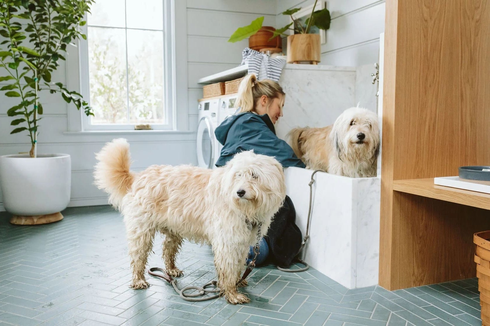 Creating a Stylish and Practical Laundry Room with a Pet Grooming Station