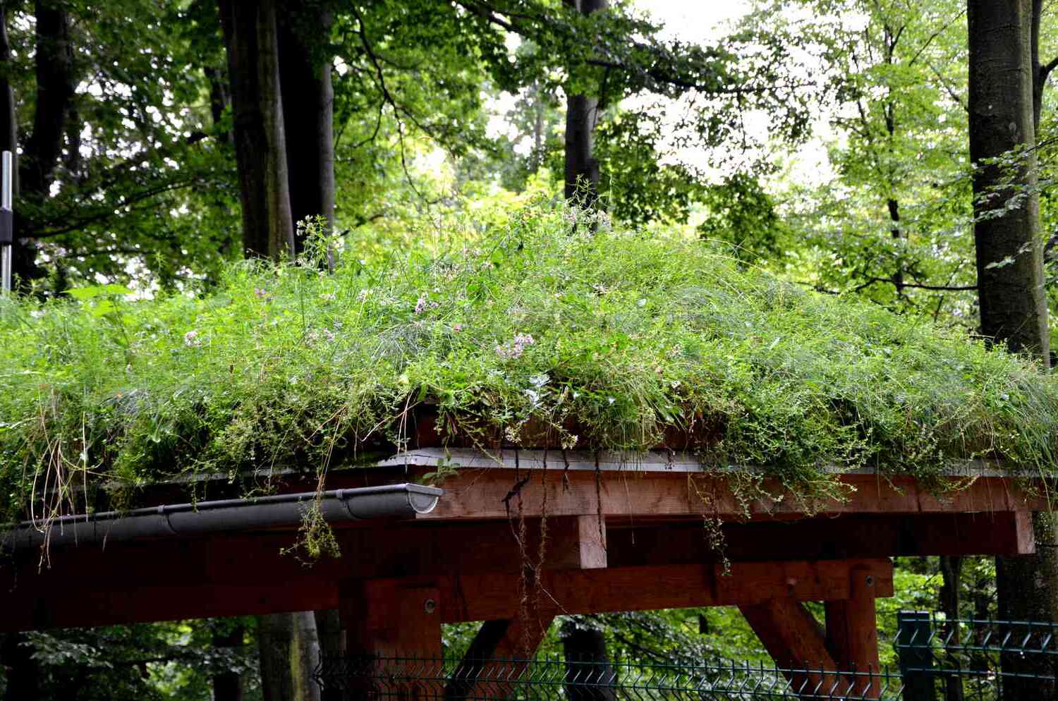 Green Roof Installation Benefits And Step-by-Step Guide | Storables