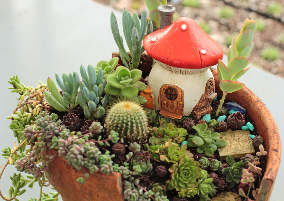 How To Design A Drought-Tolerant Fairy Garden