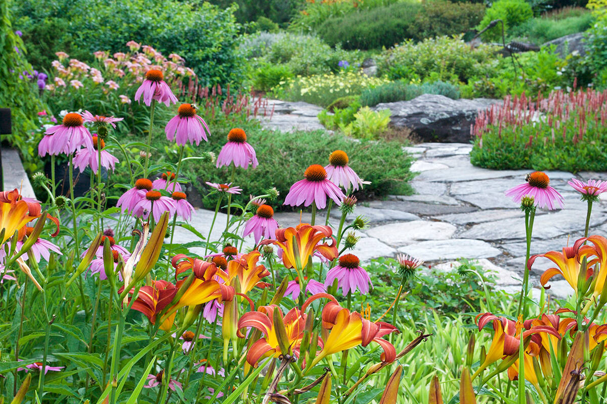 How To Design A Pollinator-Friendly Garden