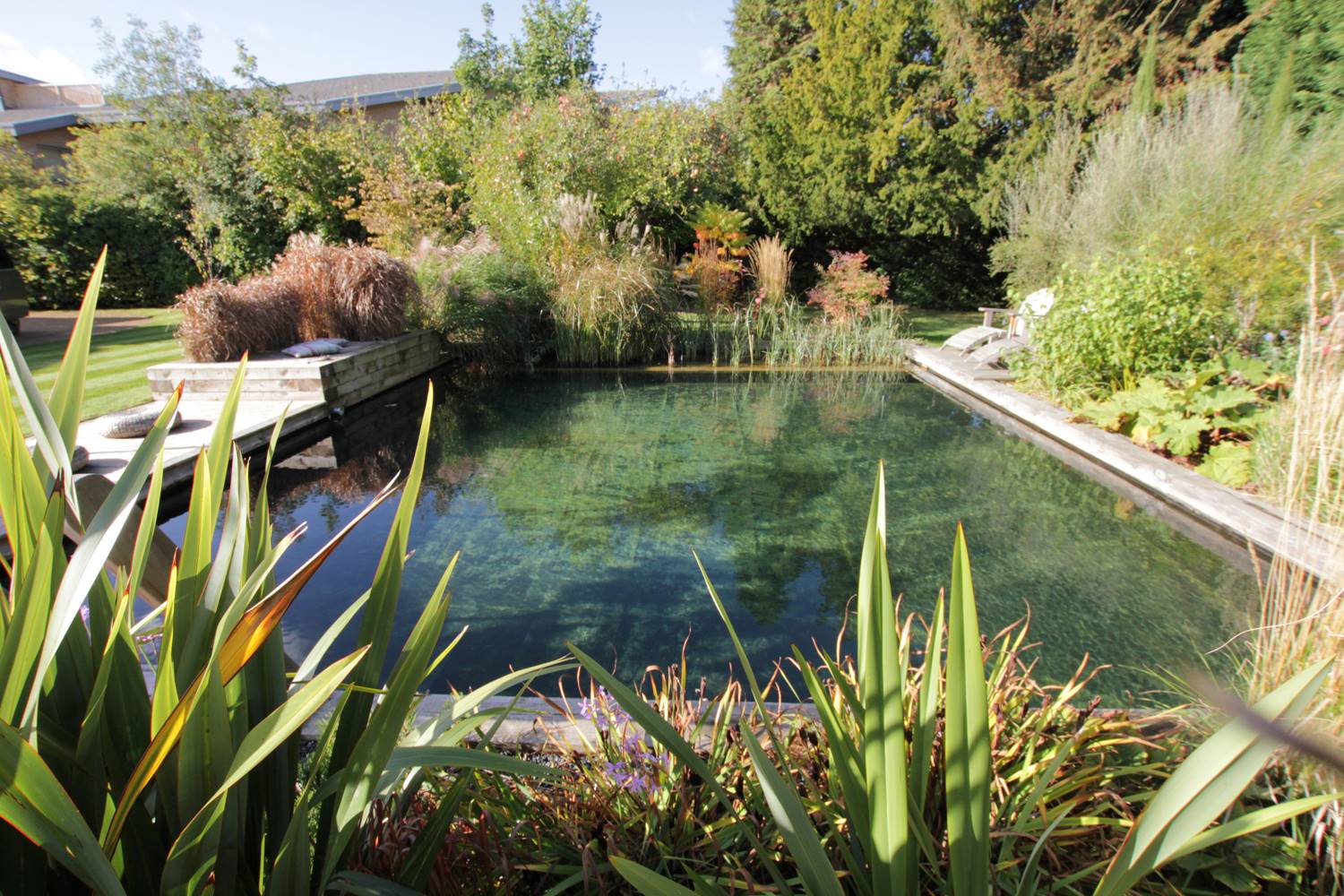 Natural Swimming Pool Construction Eco-Friendly Backyard Oasis