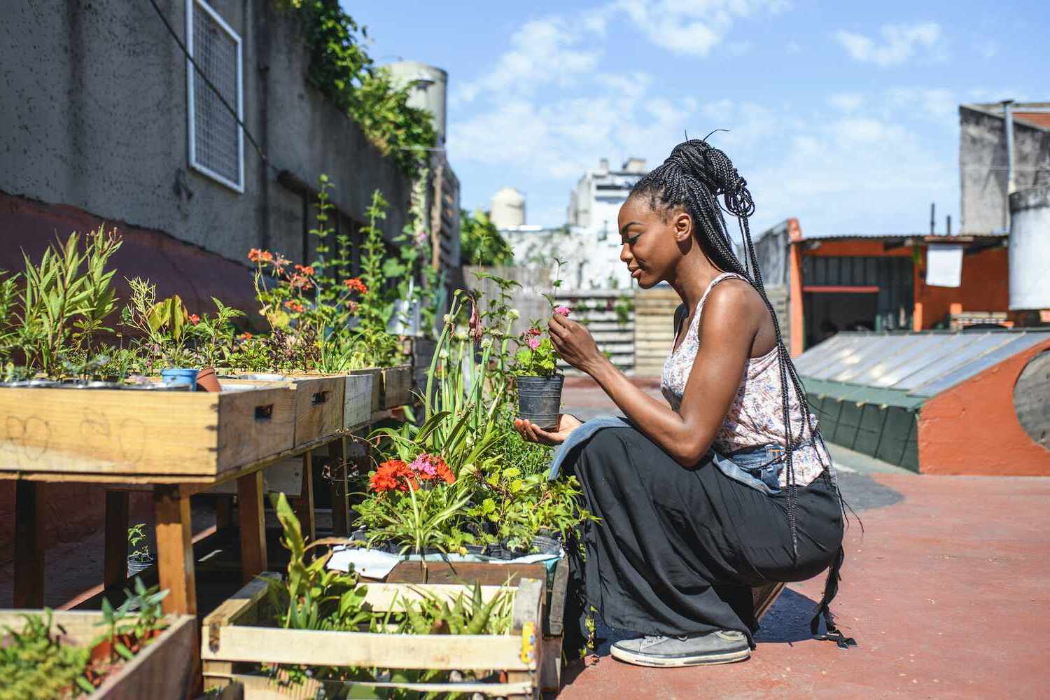 Rooftop Garden Design Tips Urban Gardening Solutions | Storables