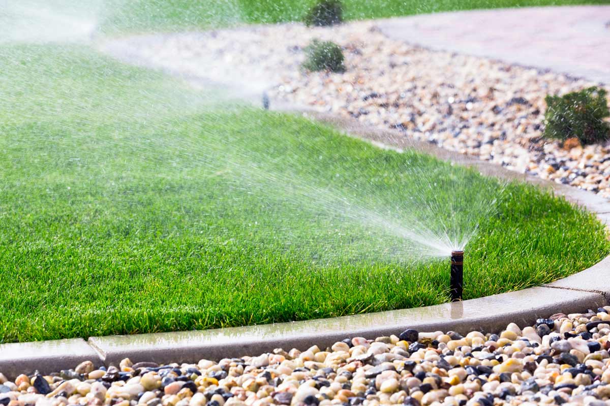 Smart Irrigation Systems and Water-Saving Garden Technology