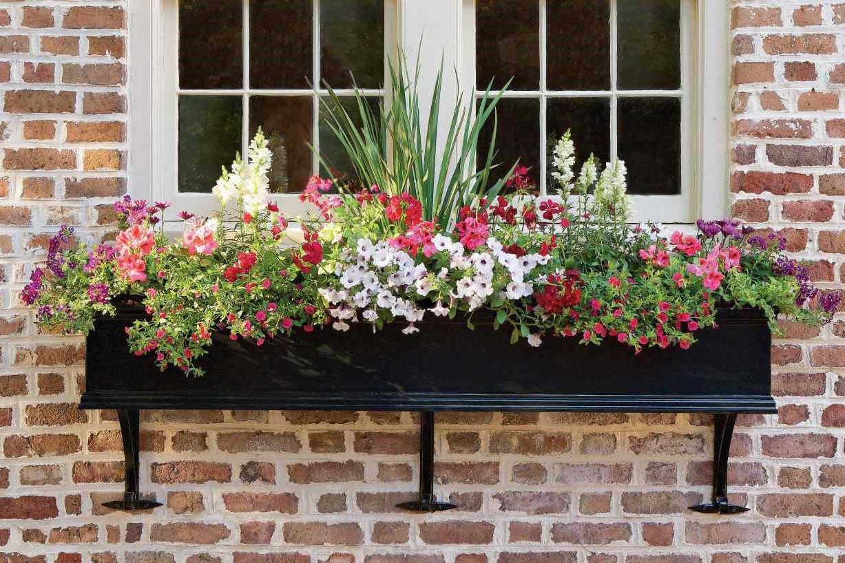 Upgrading Your Home’s Exterior With DIY Window Boxes