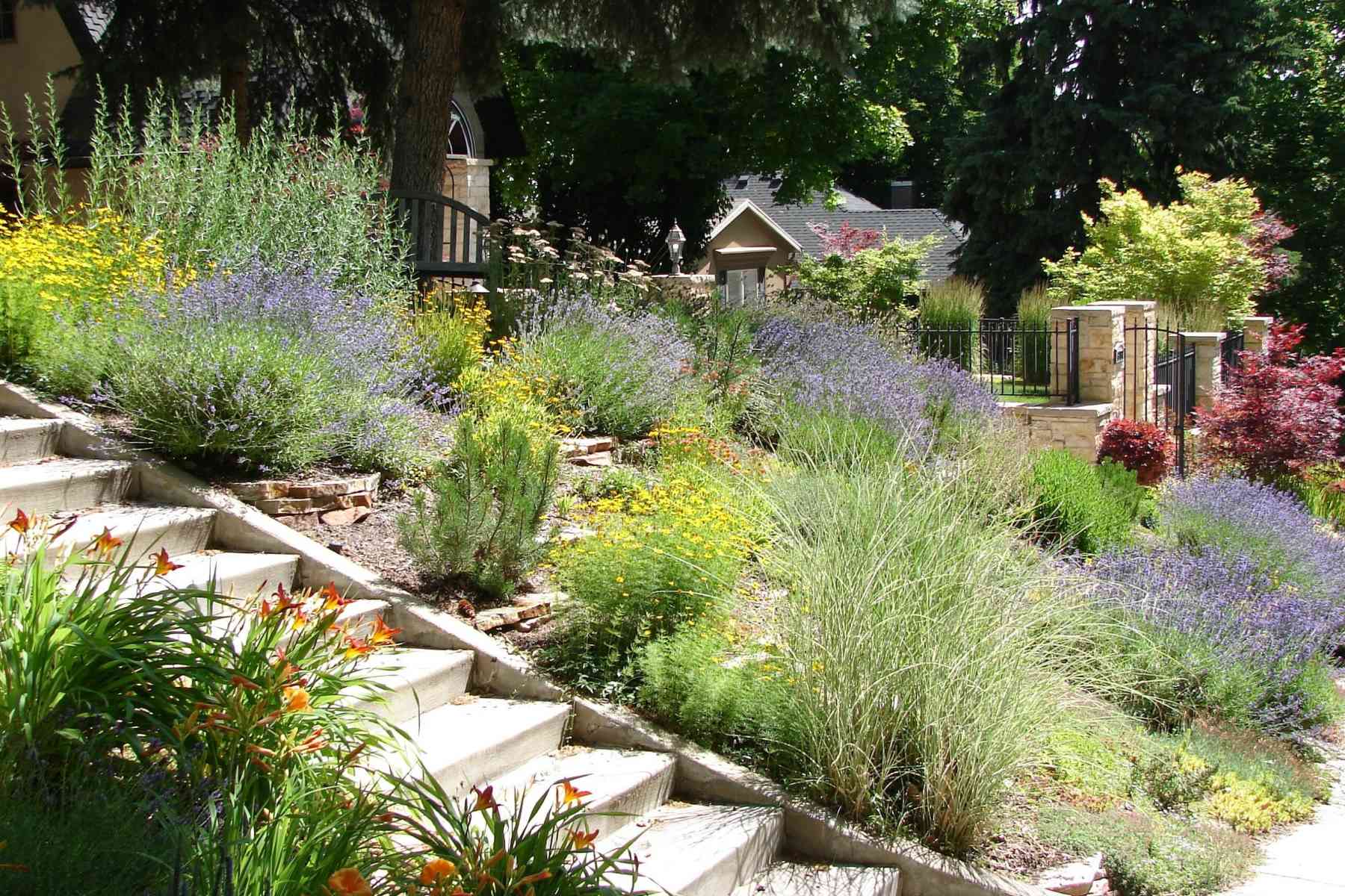 Creating A Xeriscaped Landscape: Water-Wise Gardening