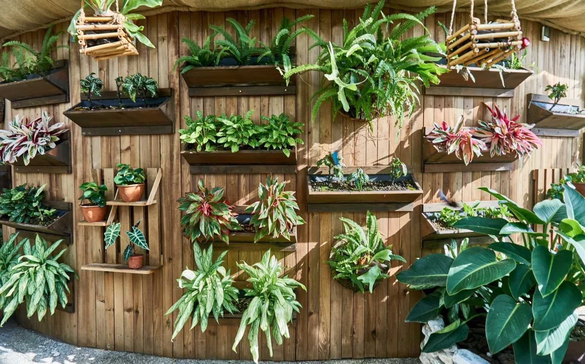 DIY Guide: Building A Vertical Garden For Small Spaces