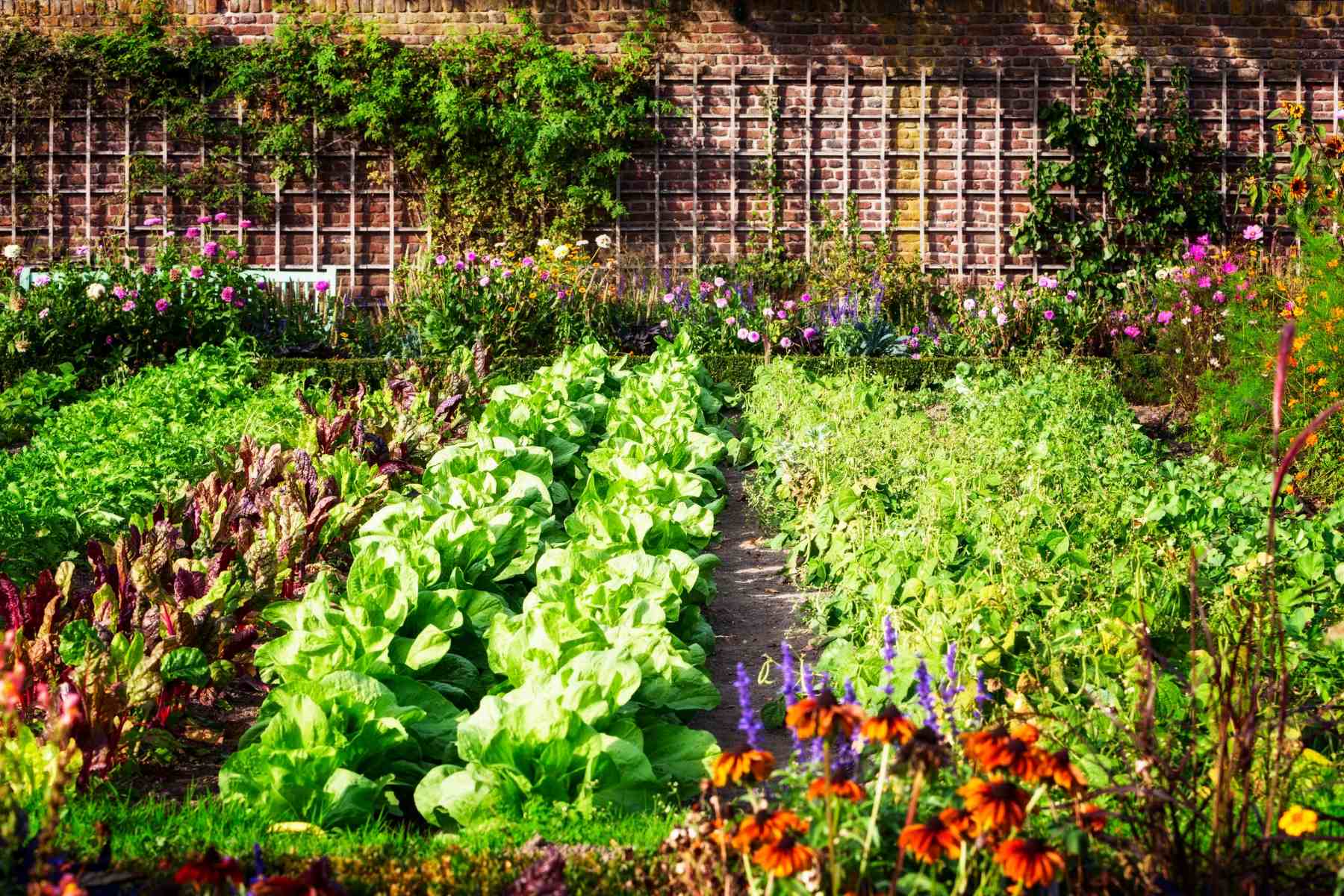 Edible Landscape Design Combine Beauty And Functionality