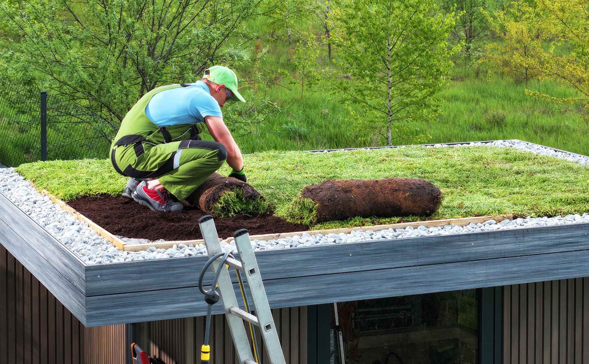 Green Roof Maintenance Tips for Sustainable Roofing Solutions