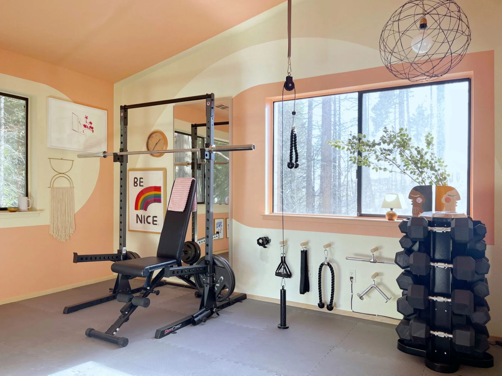 Home Gym Plate Storage Tree: DIY Weight Organization Solution