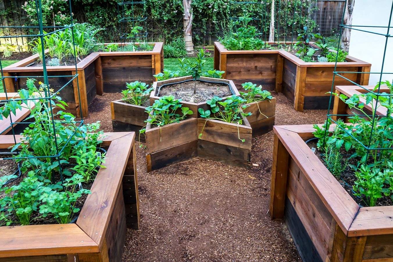 How To Build A Raised Garden Bed For Vegetables