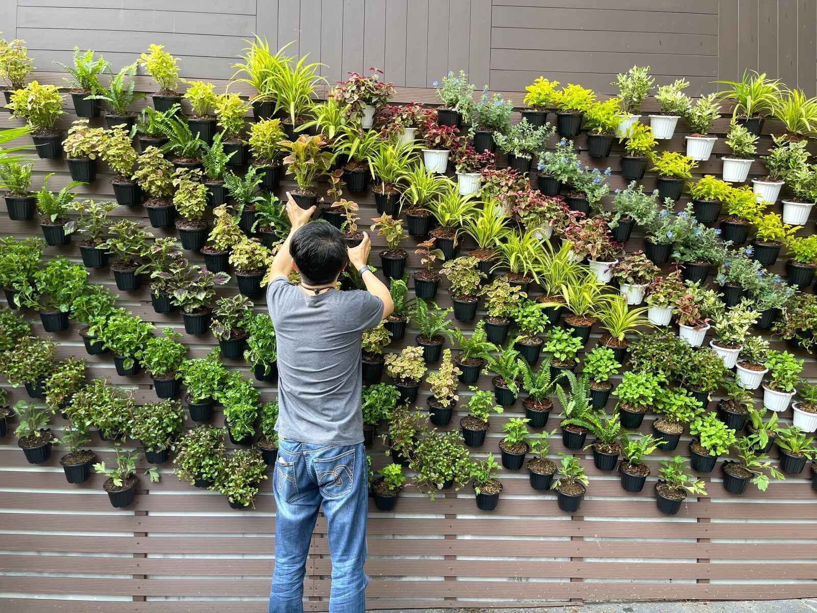 How to Design a Butterfly-Shaped Vertical Garden with an Automated Care System