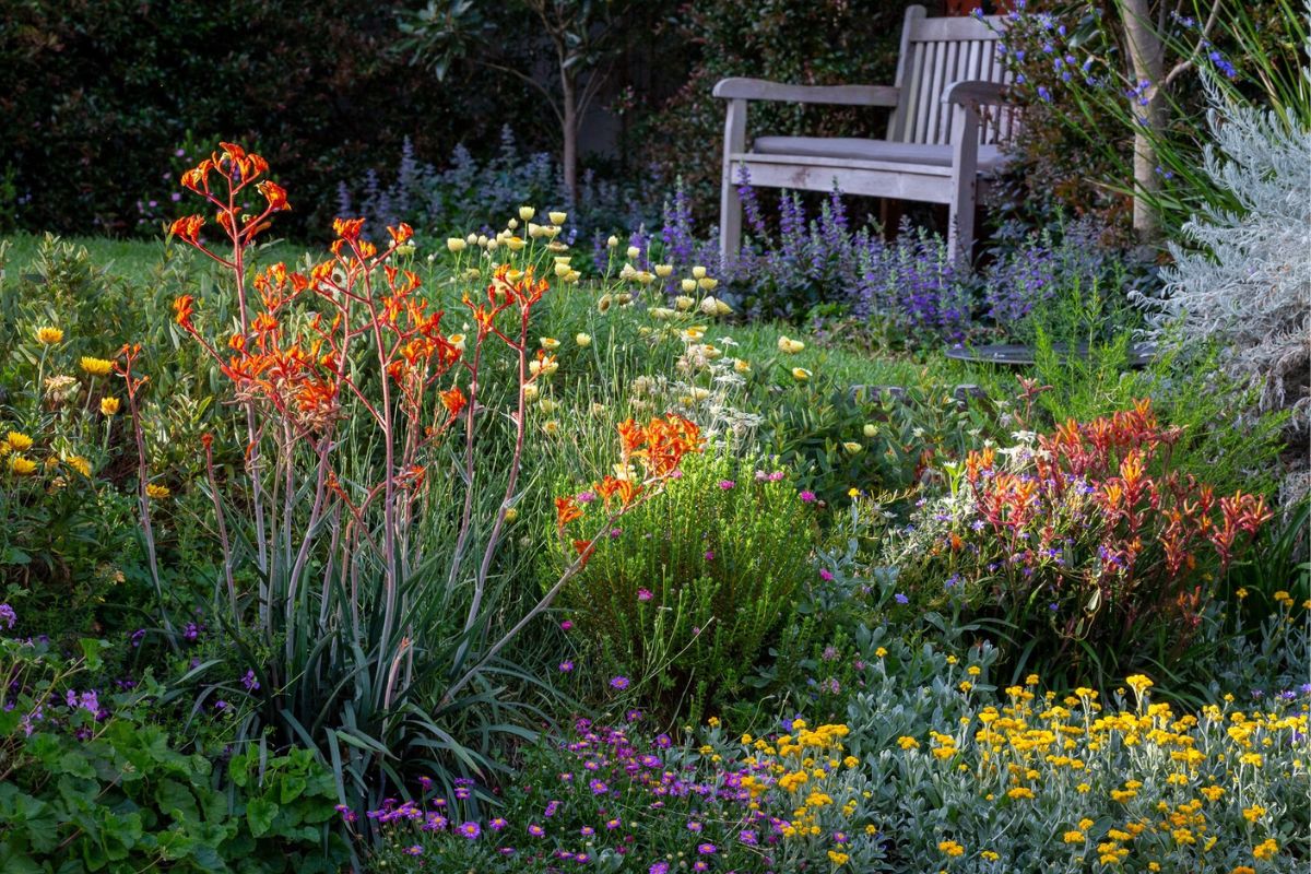 How To Design A Cottage-Style Rain Garden With Native Plants