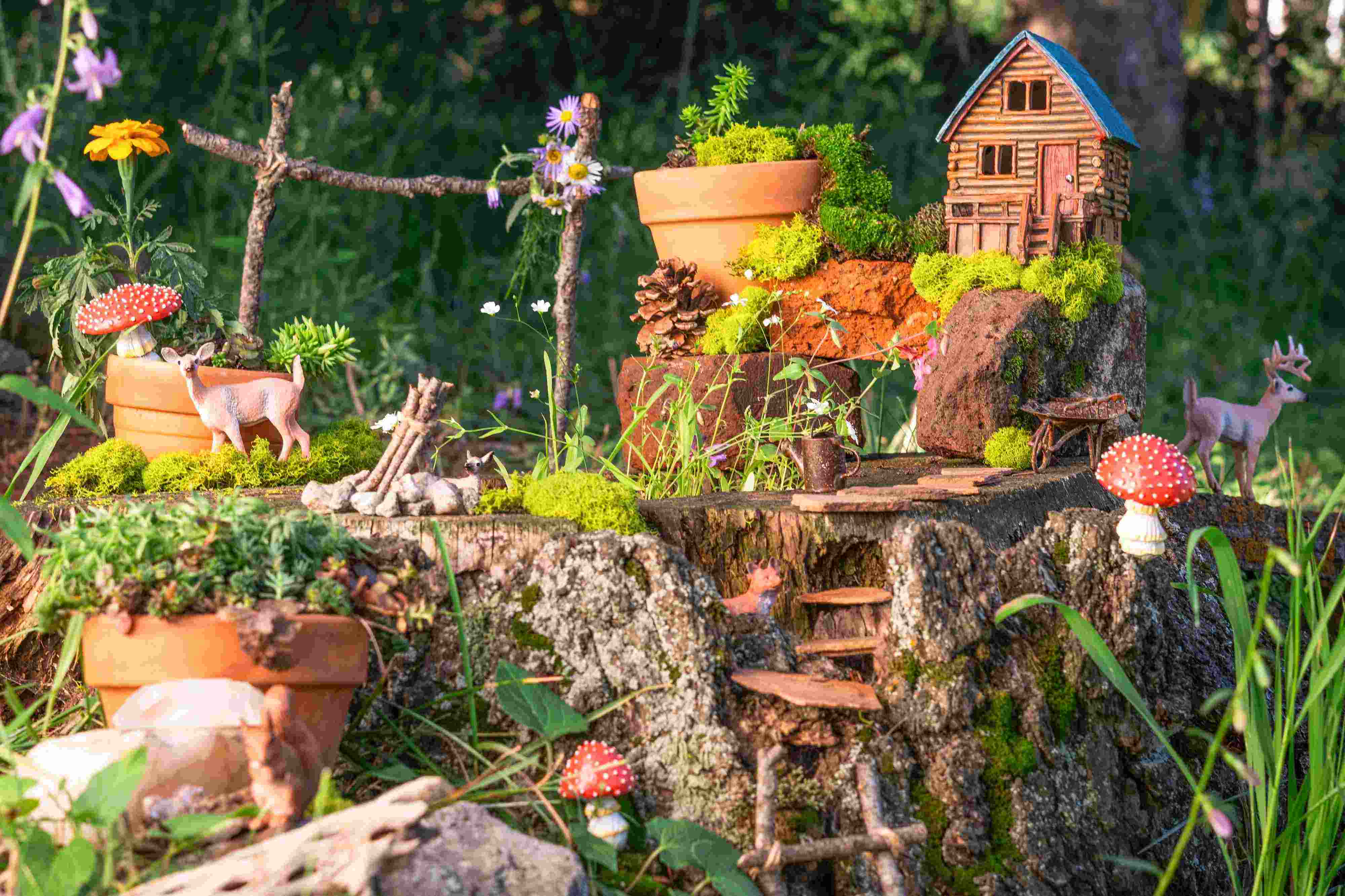 Indoor Fairy Garden Creation: Miniature Magical Landscapes