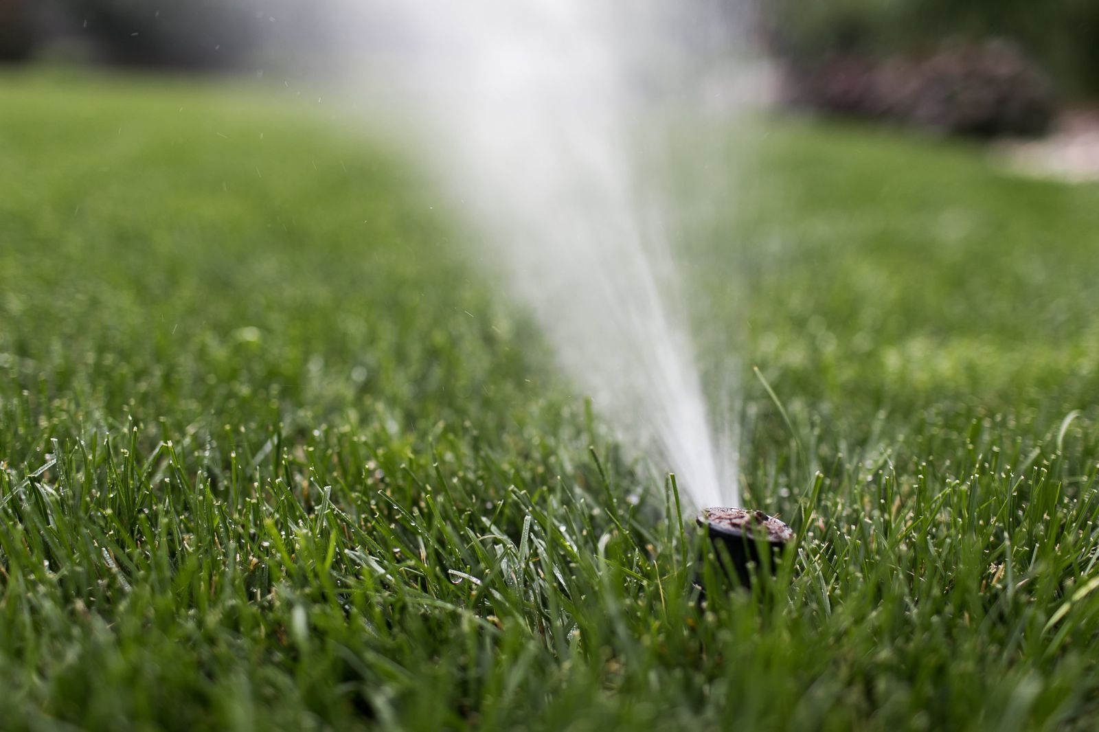 Smart Irrigation Controller Setup for Water-Efficient Gardening