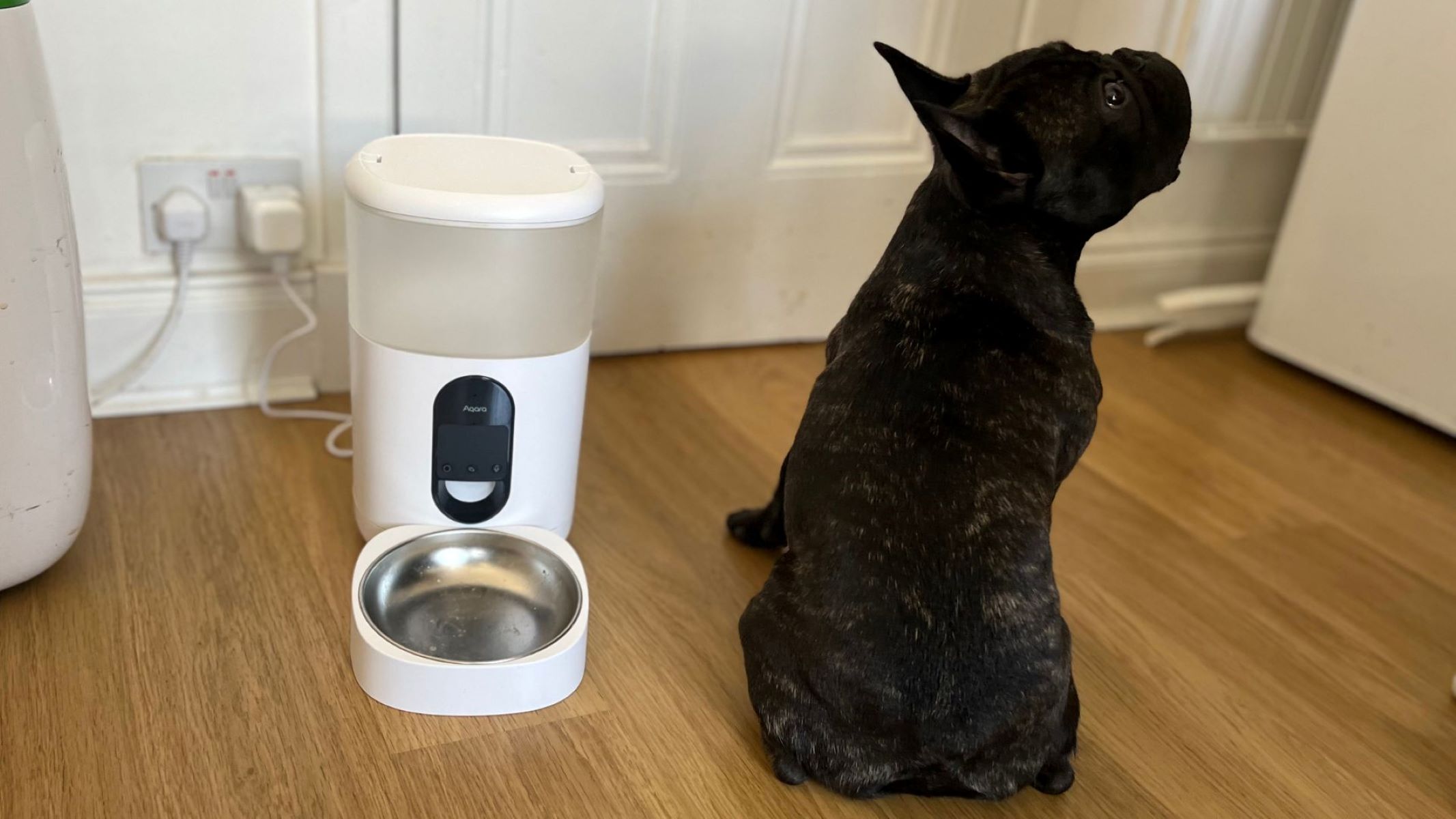 Smart Pet Feeder Installation for Automated Pet Care Solutions