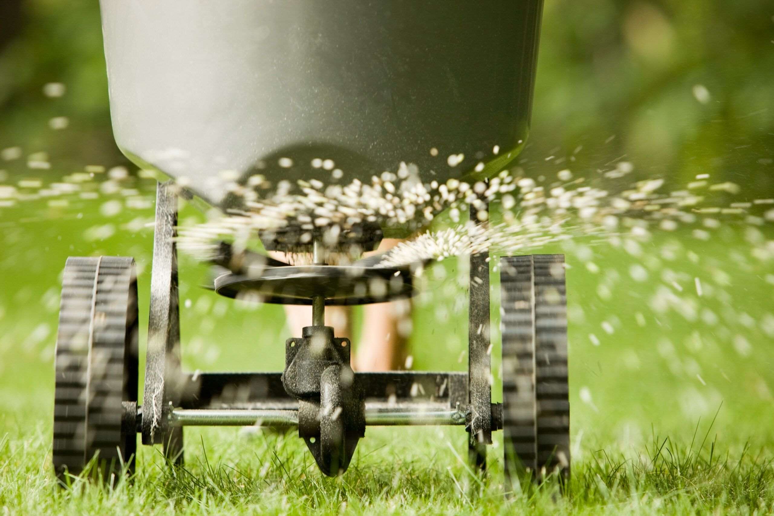 The Best Time To Fertilize Your Lawn In The South