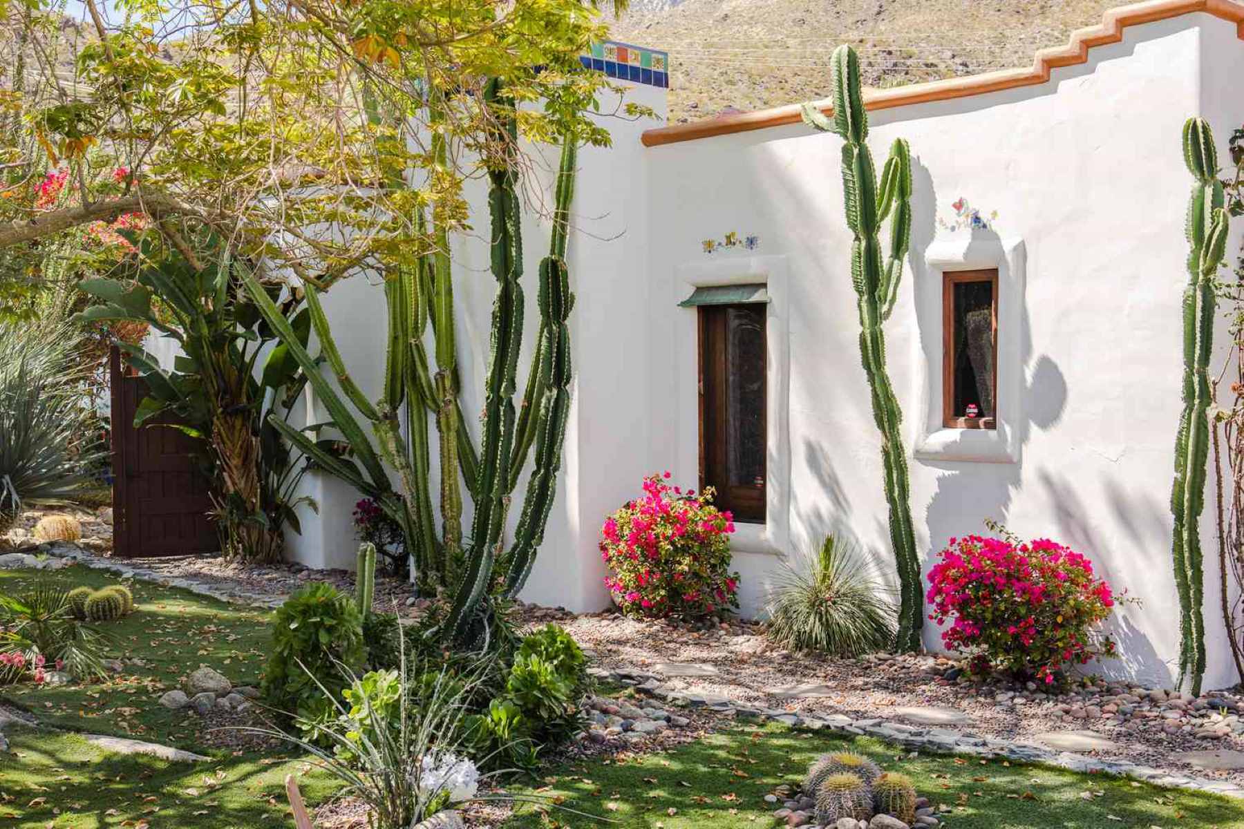 Top 5 Low-Water Landscaping Ideas For Desert Climates