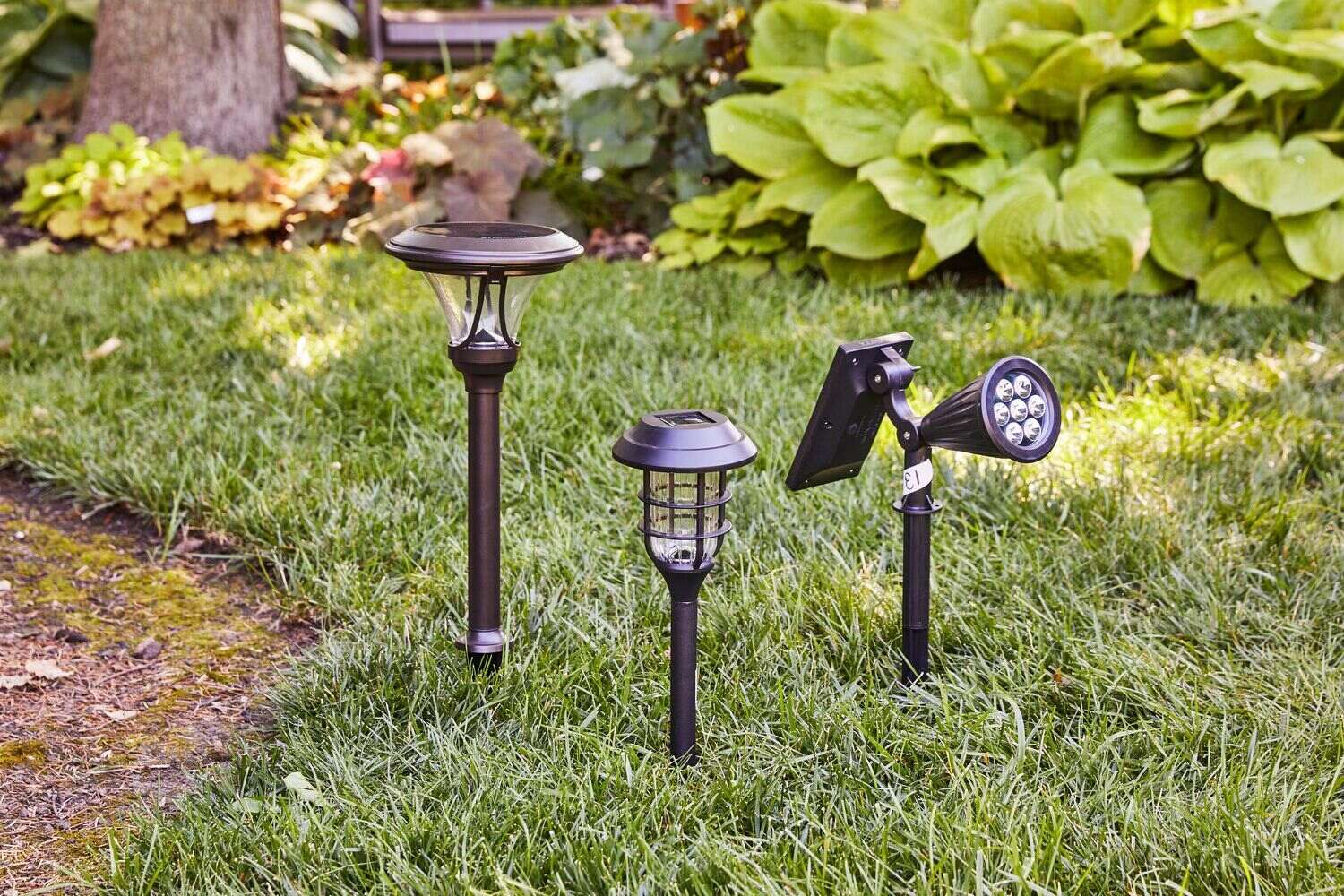 Upgrading Your Home’s Exterior With DIY Solar-Powered Path Lights