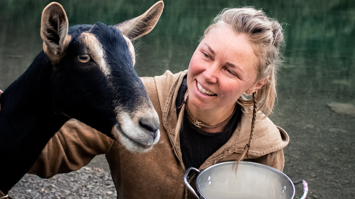 A Beginner’s Guide To Raising Goats