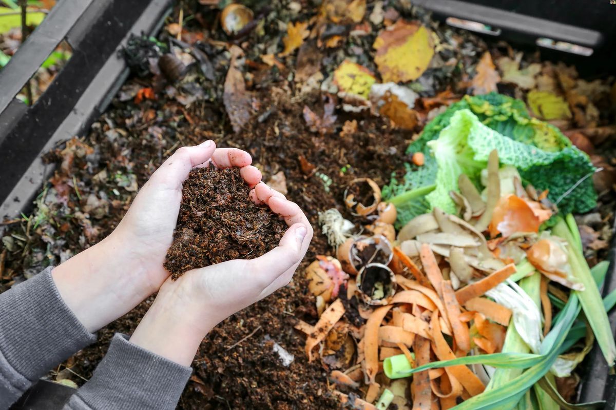 A Step-by-Step Guide To Starting A Compost Pile