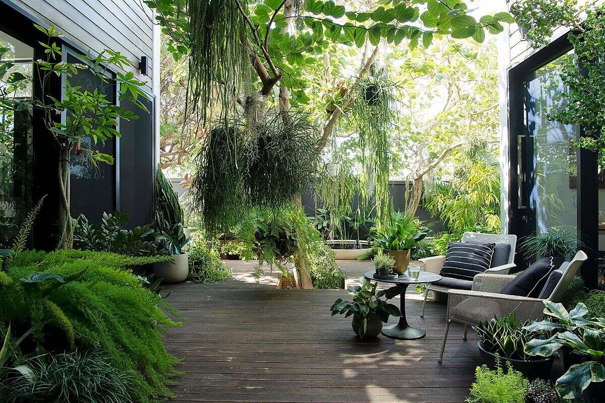 Bring Nature Indoors With Indoor Jungle Tips