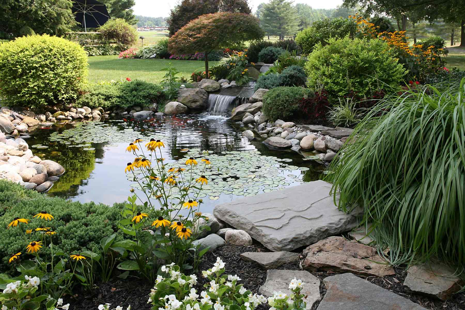 Building A Backyard Pond To Attract Wildlife