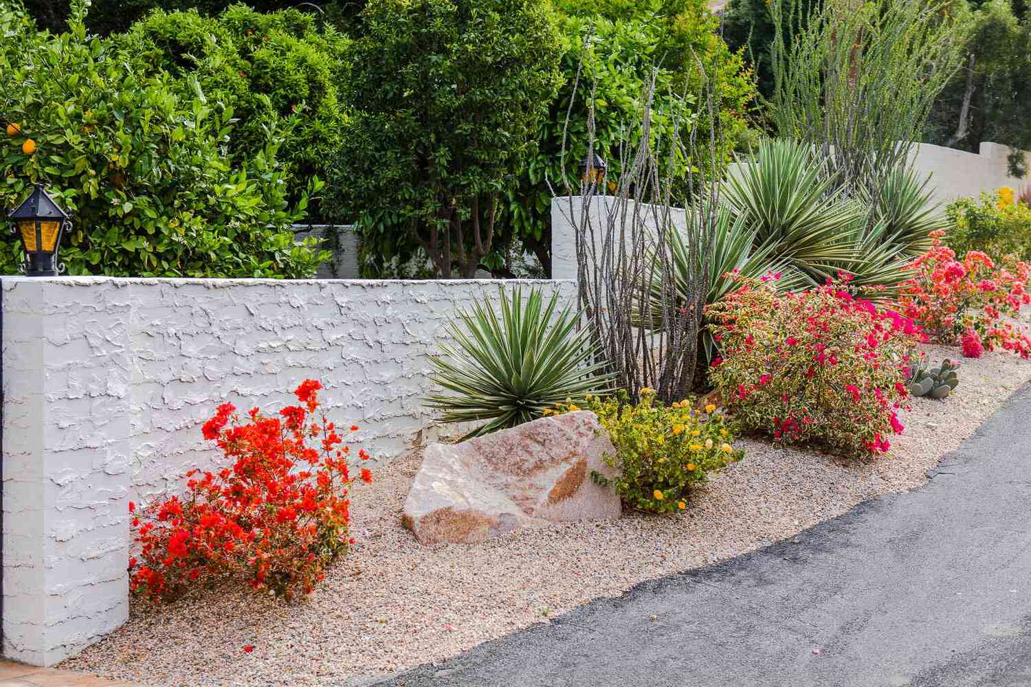 Drought-Resistant Landscaping Ideas For Southwestern Homes