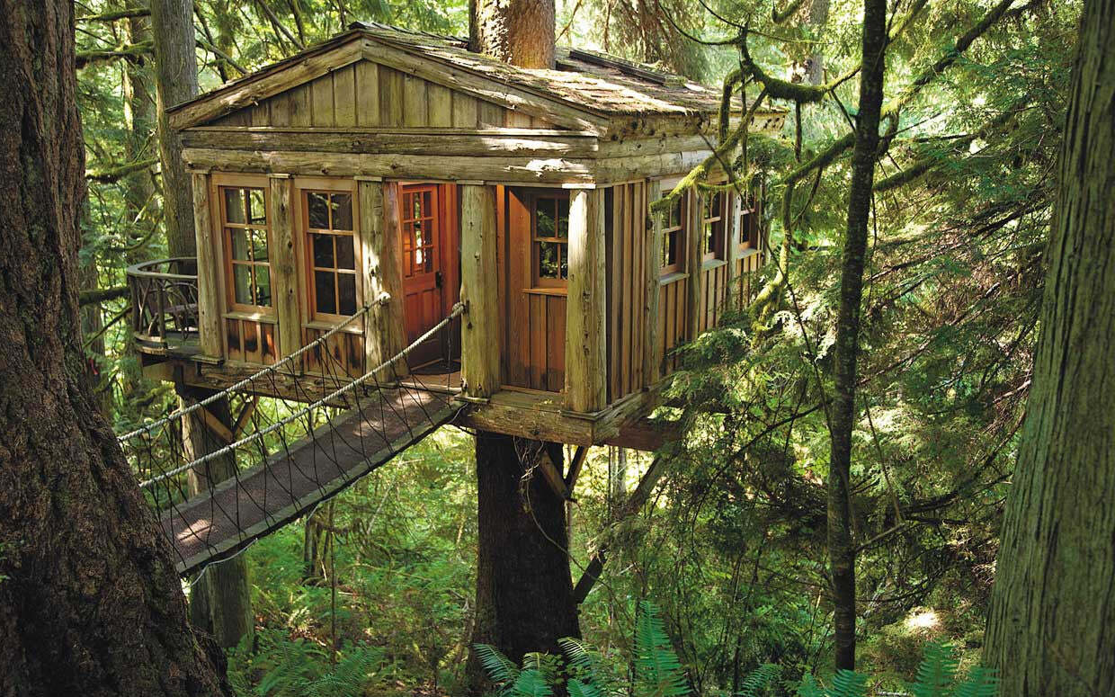 Treehouse Building Codes: What You Need To Know