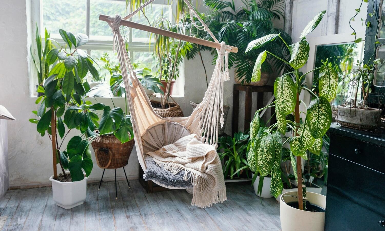 Tropical Paradise: Vacation Vibes At Home