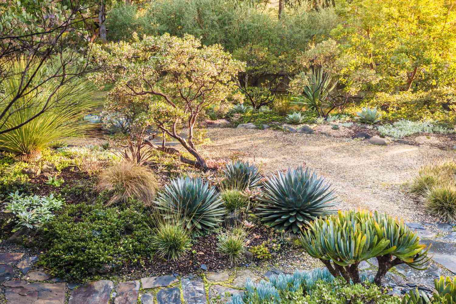 Xeriscaping 101: Water-Wise Landscaping For Dry Climates