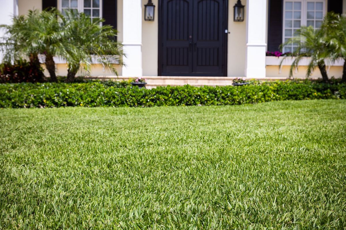 Zoysia Grass Care: Winter Dormancy Tips For Florida