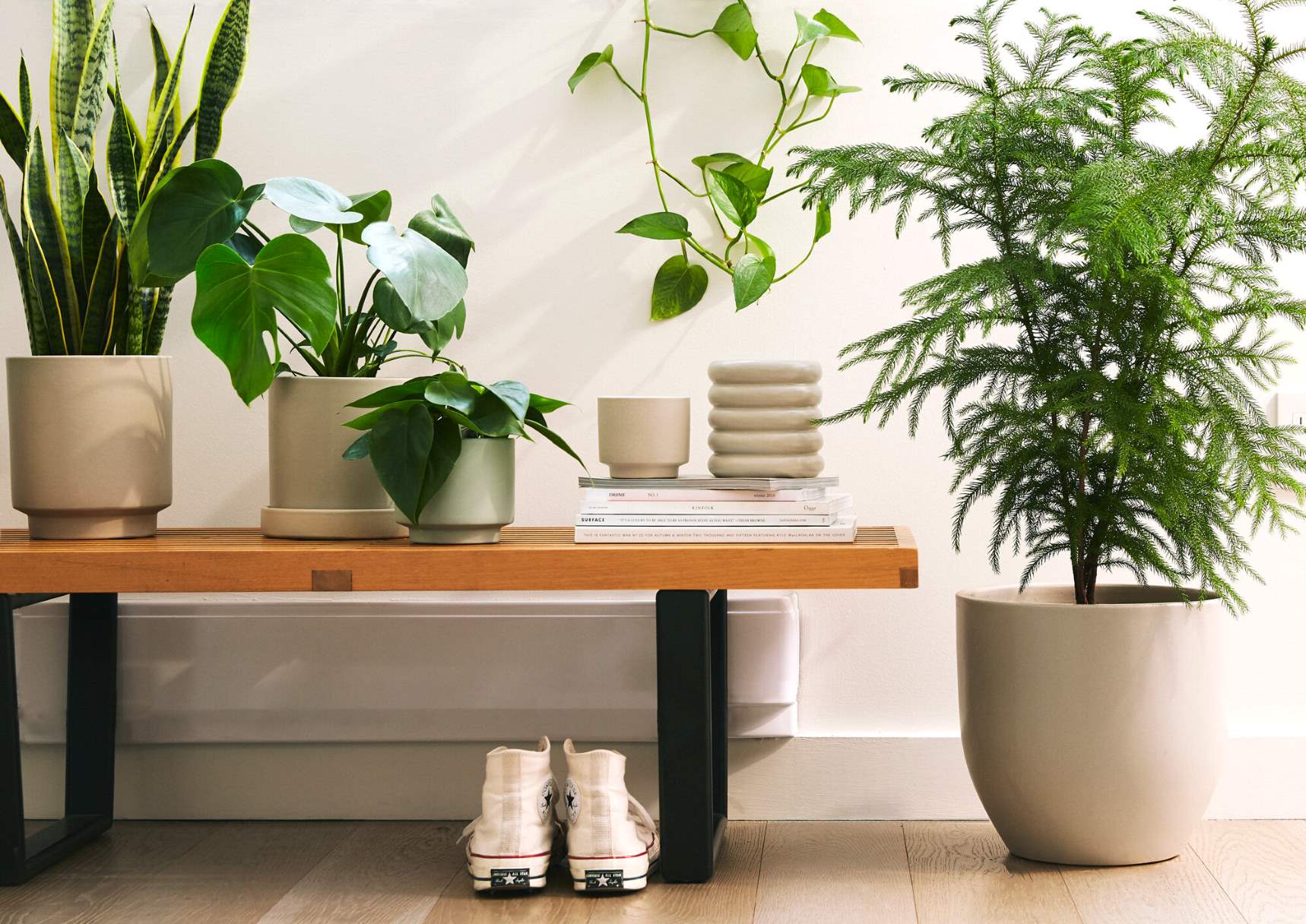 5 Simple Ways To Bring Nature Indoors