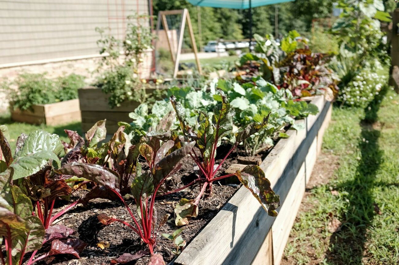 5 Sustainable Practices To Try In Your Garden