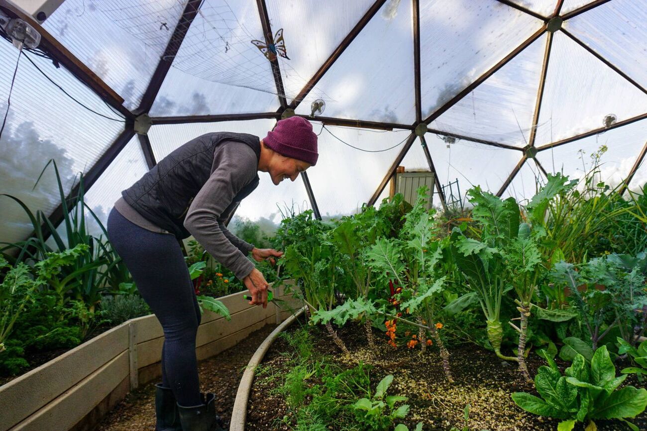 Building A Small Greenhouse For Fresh Veggies Year-Round