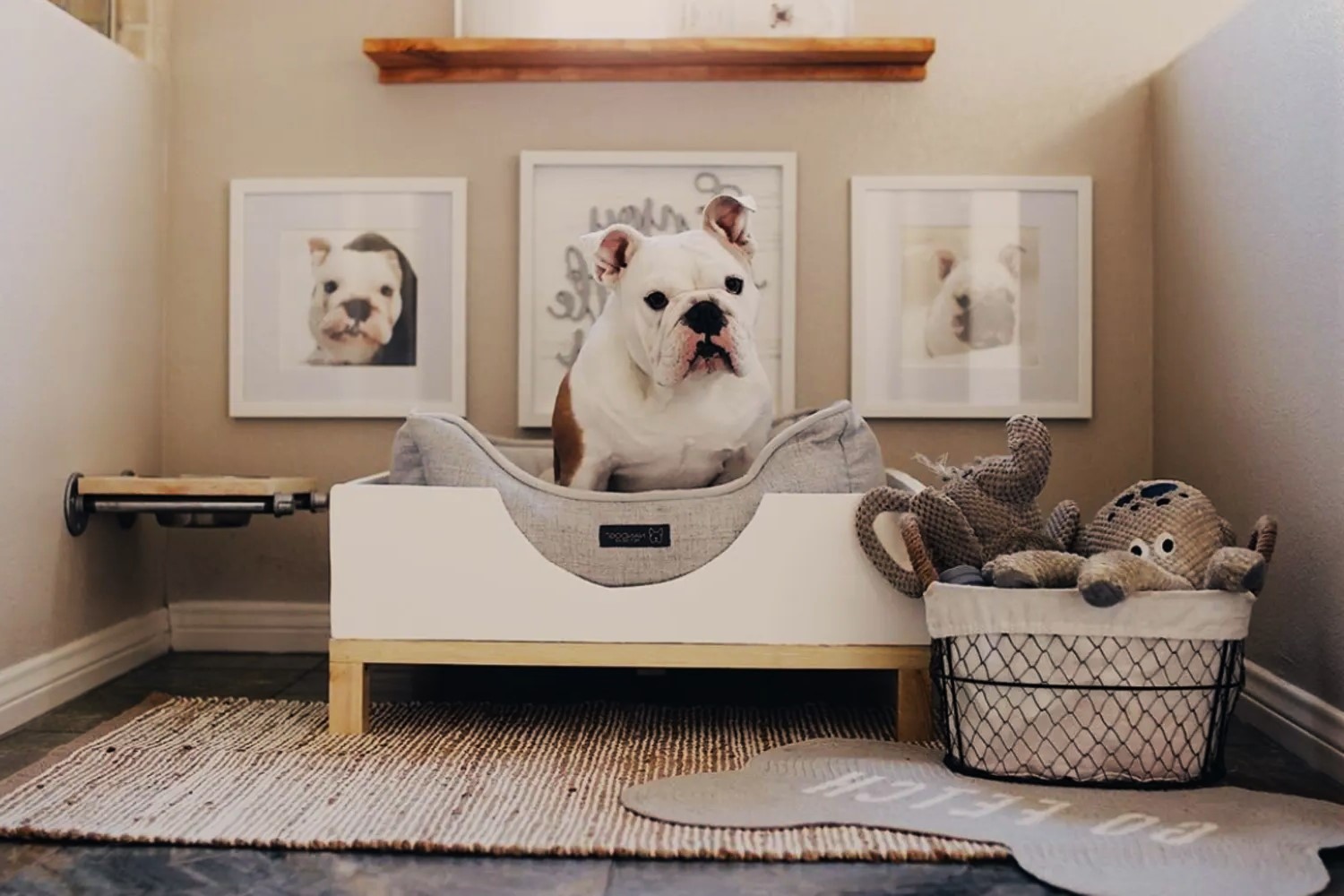 Creating A Stylish Pet Corner In Your Home